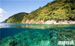 多米尼克护照项目全面介绍，正在申请的你不看亏大了！