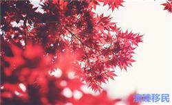 移民加拿大，当地的风俗习惯早知道