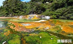 新西兰入境最新消息，哪些人被允许入境？