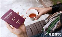 土耳其护照移民申请材料有哪些？多吗？