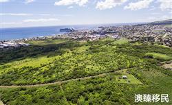 圣基茨移民跳板作用明显吗，有哪些好处？