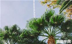 移民西班牙后悔死了？这才是移民西班牙的真实感受