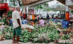 瓦努阿图移民骗局谣言2022大揭秘