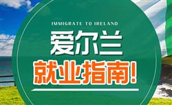 移民爱尔兰找工作容易吗，去国际大公司需要满足什么条件？ 