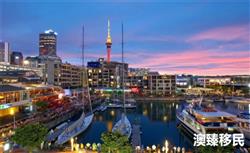 美加澳新“移民监”对比：哪个国家更具优势？