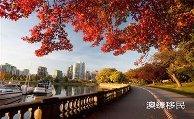 难度越来越大，2025年还有移民加拿大的机会吗？